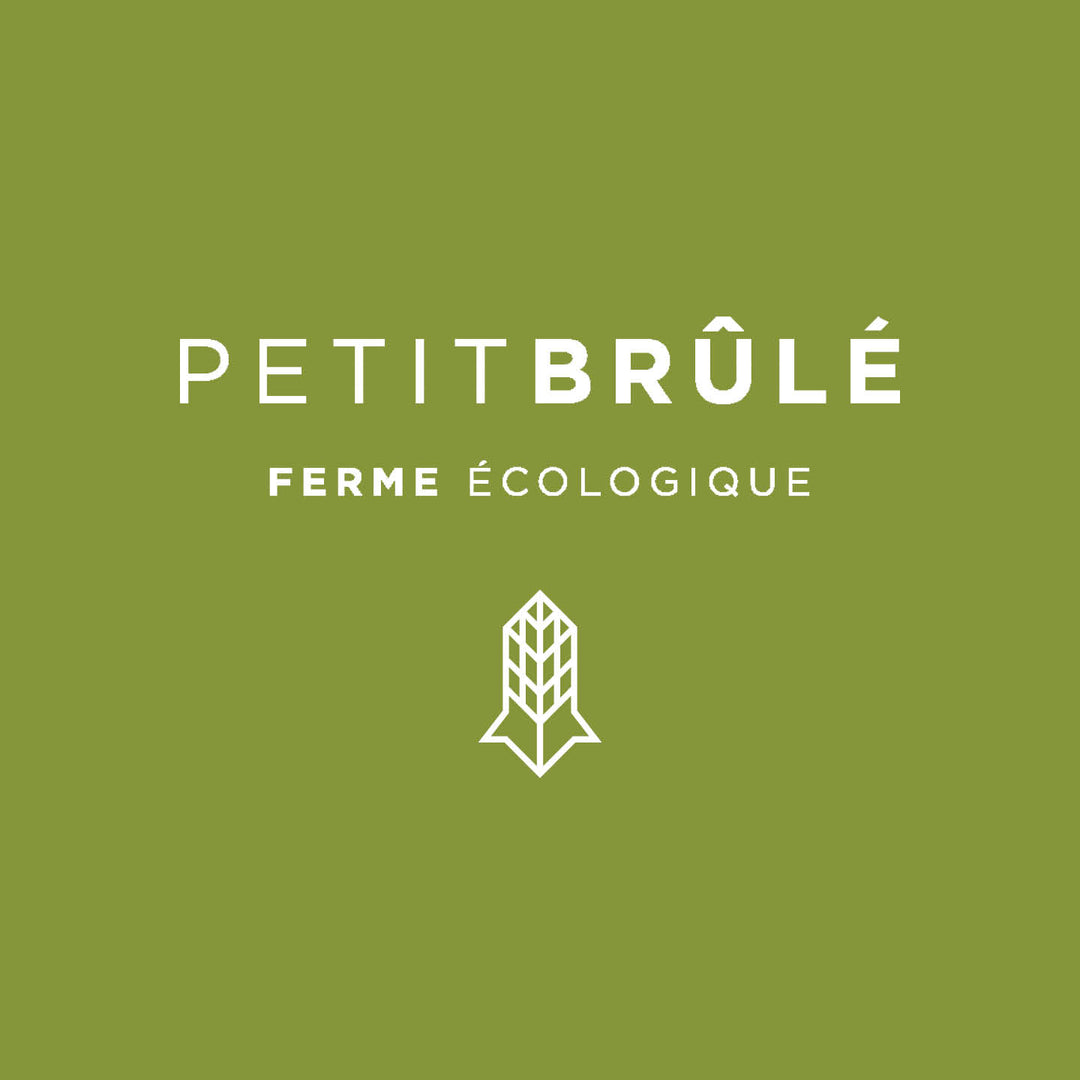 Panier PETIT Familial de légumes - Abonnement hebdomadaire - Livraison ou cueillette chaque semaine