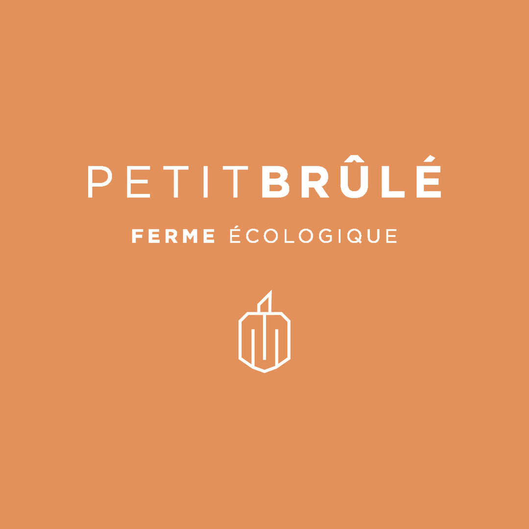 Prêt-à-manger - Pennine végétarienne au gratin (pour 4)