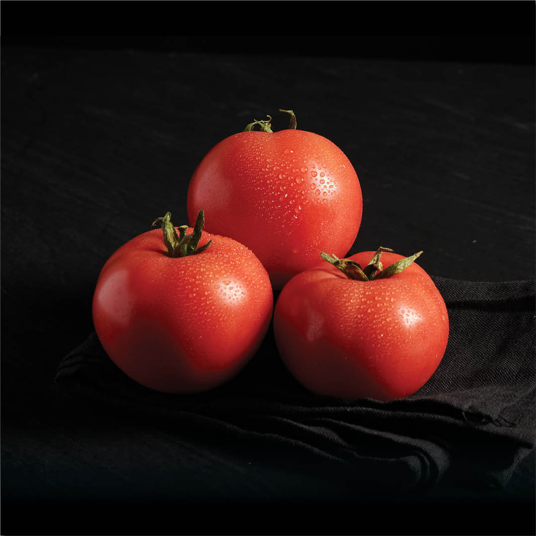Tomates de table - KG